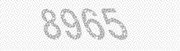 Visual security code — type the characters shown in the image